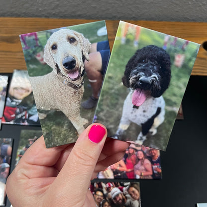 2.5"x3.5" Rectangle Photo Magnets