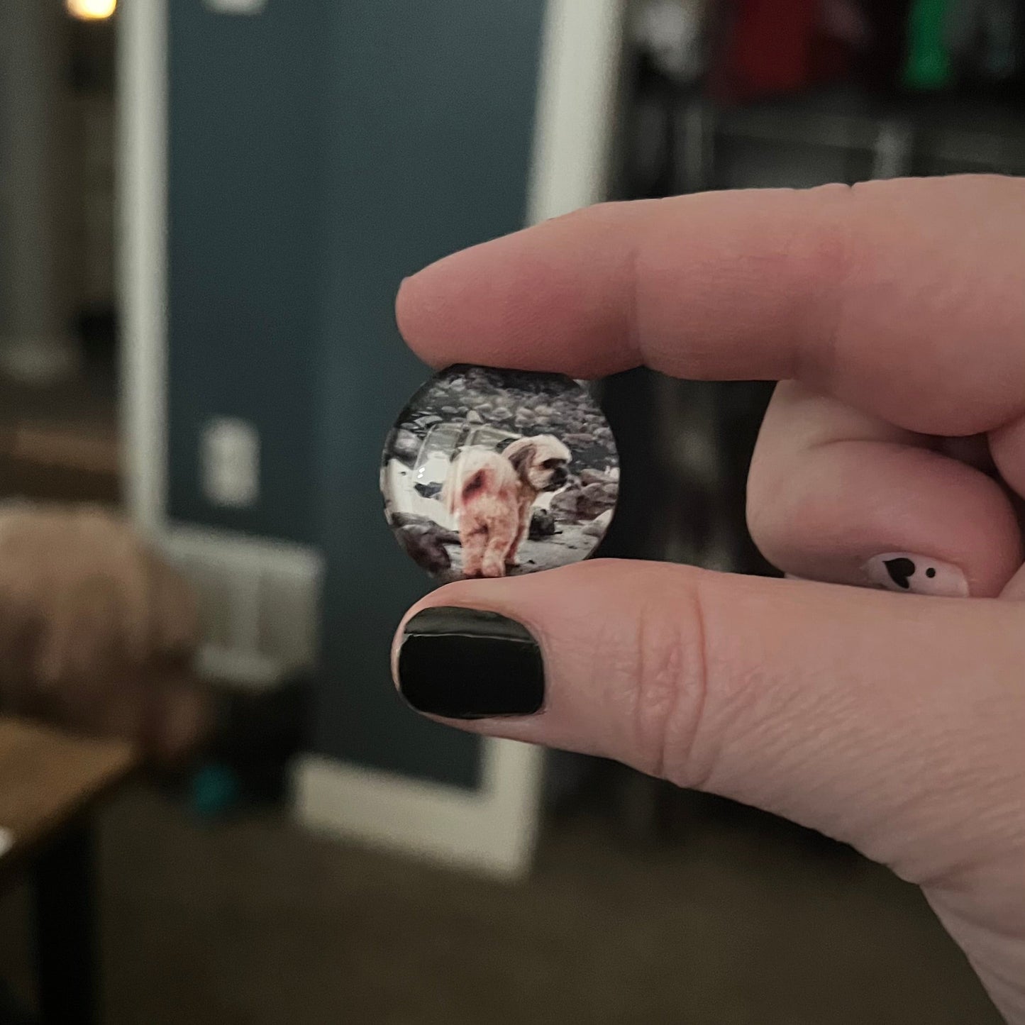 1” Glass Custom Photo Magnet Set (5)